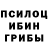 Псилоцибиновые грибы Magic Shrooms Eldaniz Alakbarzade