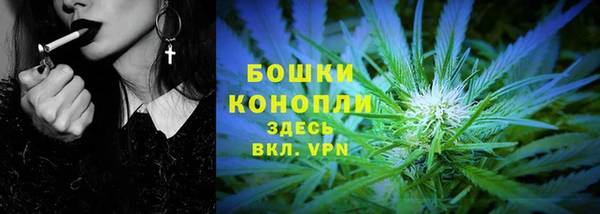 стафф Надым