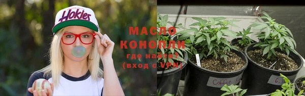 ГАЛЛЮЦИНОГЕННЫЕ ГРИБЫ Наволоки