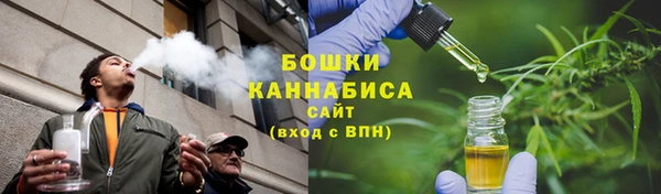 ГАЛЛЮЦИНОГЕННЫЕ ГРИБЫ Наволоки