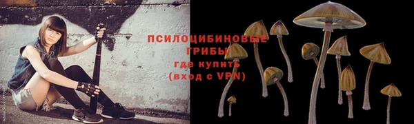ГАЛЛЮЦИНОГЕННЫЕ ГРИБЫ Наволоки