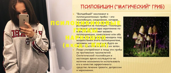 стафф Надым