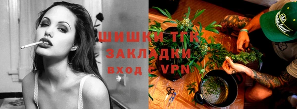 ГАЛЛЮЦИНОГЕННЫЕ ГРИБЫ Наволоки