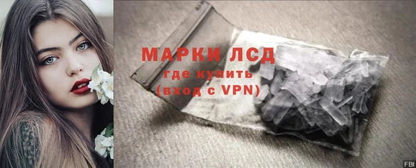 стафф Надым