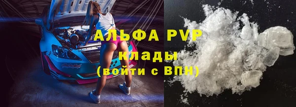 индика Бронницы