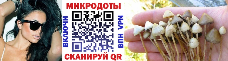 Галлюциногенные грибы Magic Shrooms  площадка формула  Тбилисская  наркота 