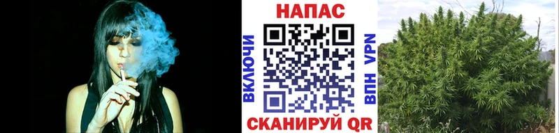 МАРИХУАНА VHQ  Тбилисская 